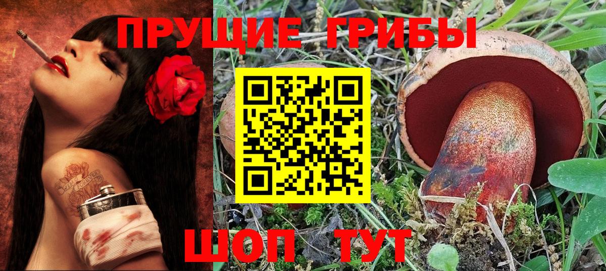 Псилоцибиновые грибы Cubensis Сочи