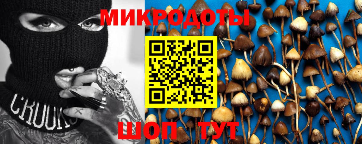 Галлюциногенные грибы Magic Shrooms  Псилоцибиновые грибы Magic Shrooms  Сочи  Вход с VPN 